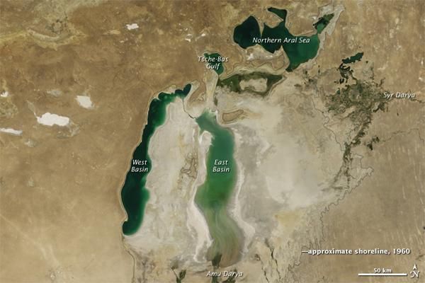 aralsea-2010-110912-02