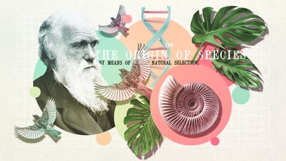 Charles Darwin with finches, an ammonite and DNA helix