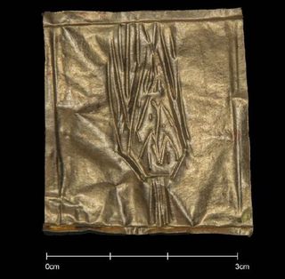 An image of a corn ear or palm branch incised onto a sheet of gold. It was found inside the massive black granite sarcophagus. Palm branches and ears of corn were symbols of fertility and rebirth in ancient Egypt, an expert told Live Science.
