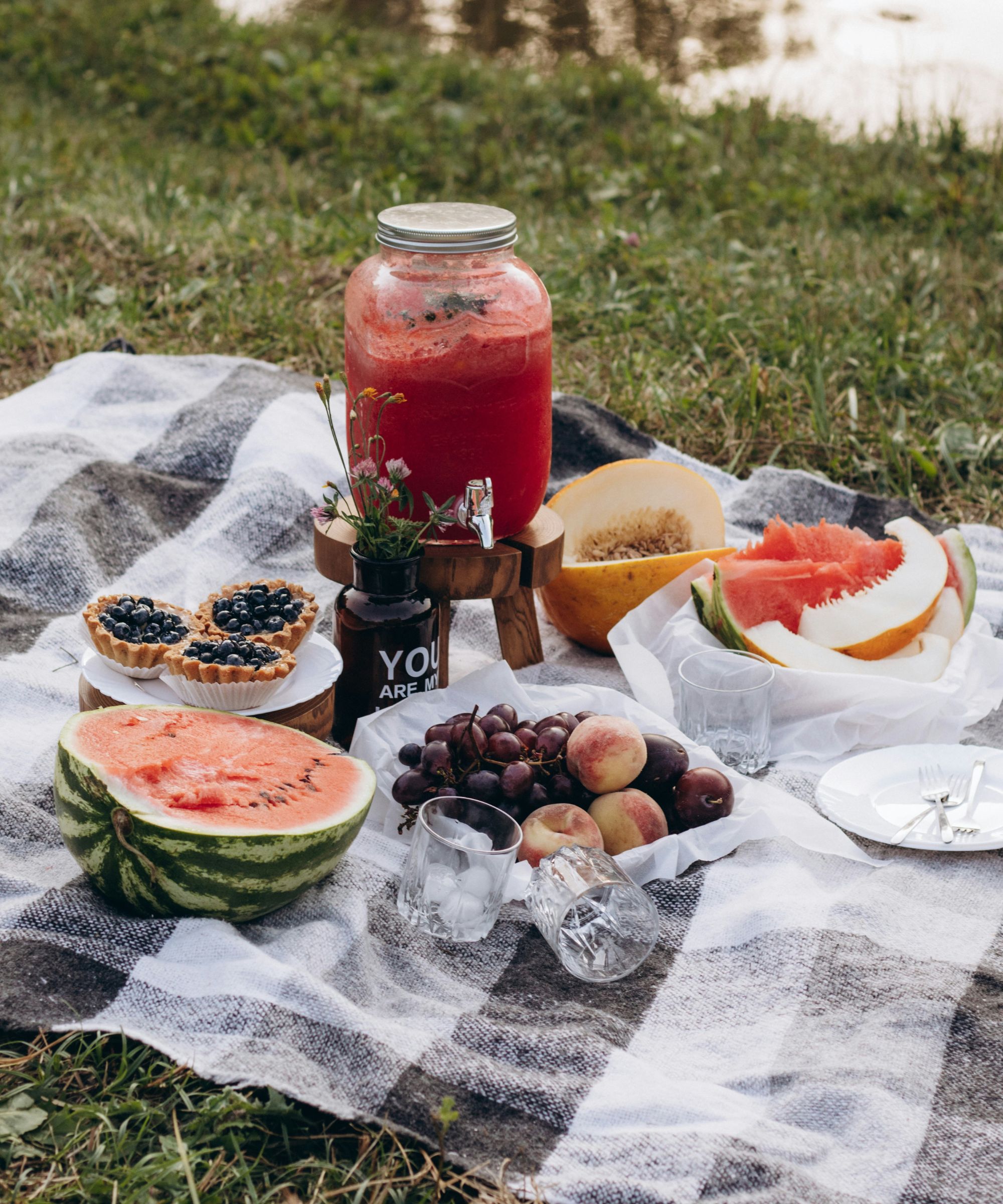 Black and white gingham picnic blanket with fruit, tarts and a mason jar full of juice