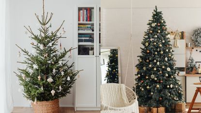 A split image of a real Christmas tree and an artificial Christmas tree