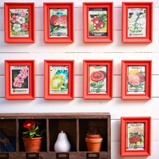 colourful frames and wall display