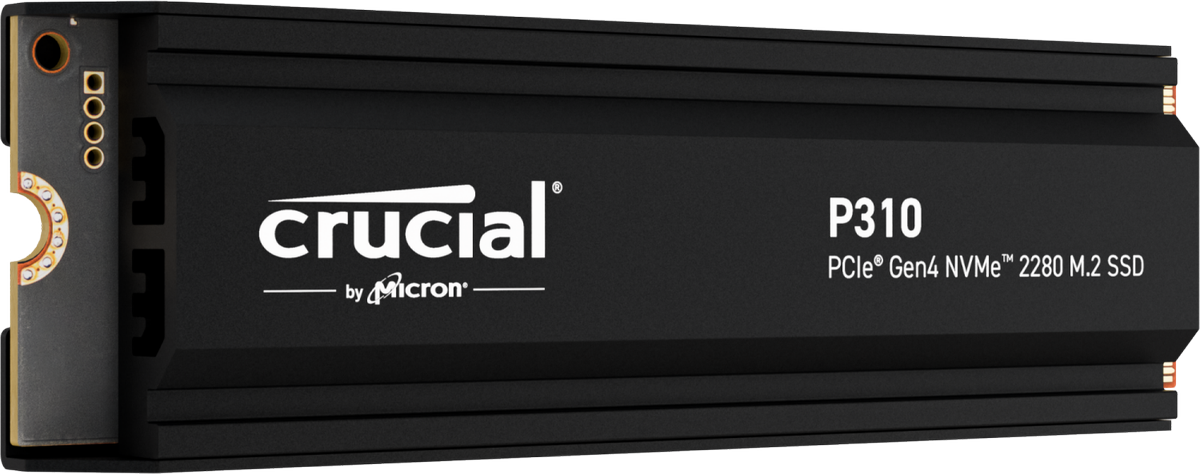 Crucial P310