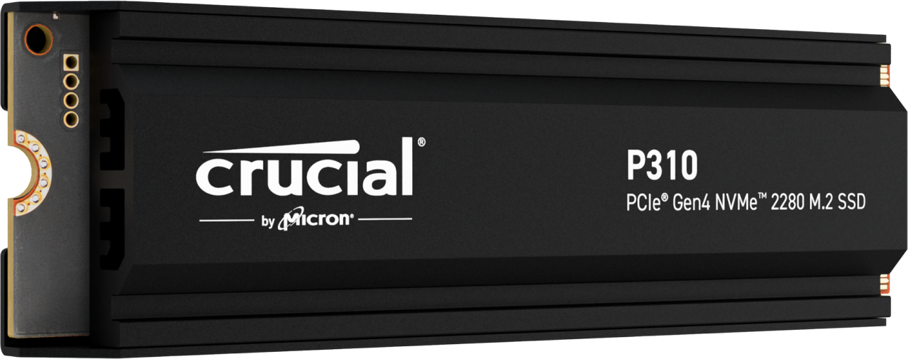 Crucial P310