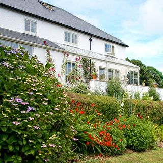 house with windows and garden