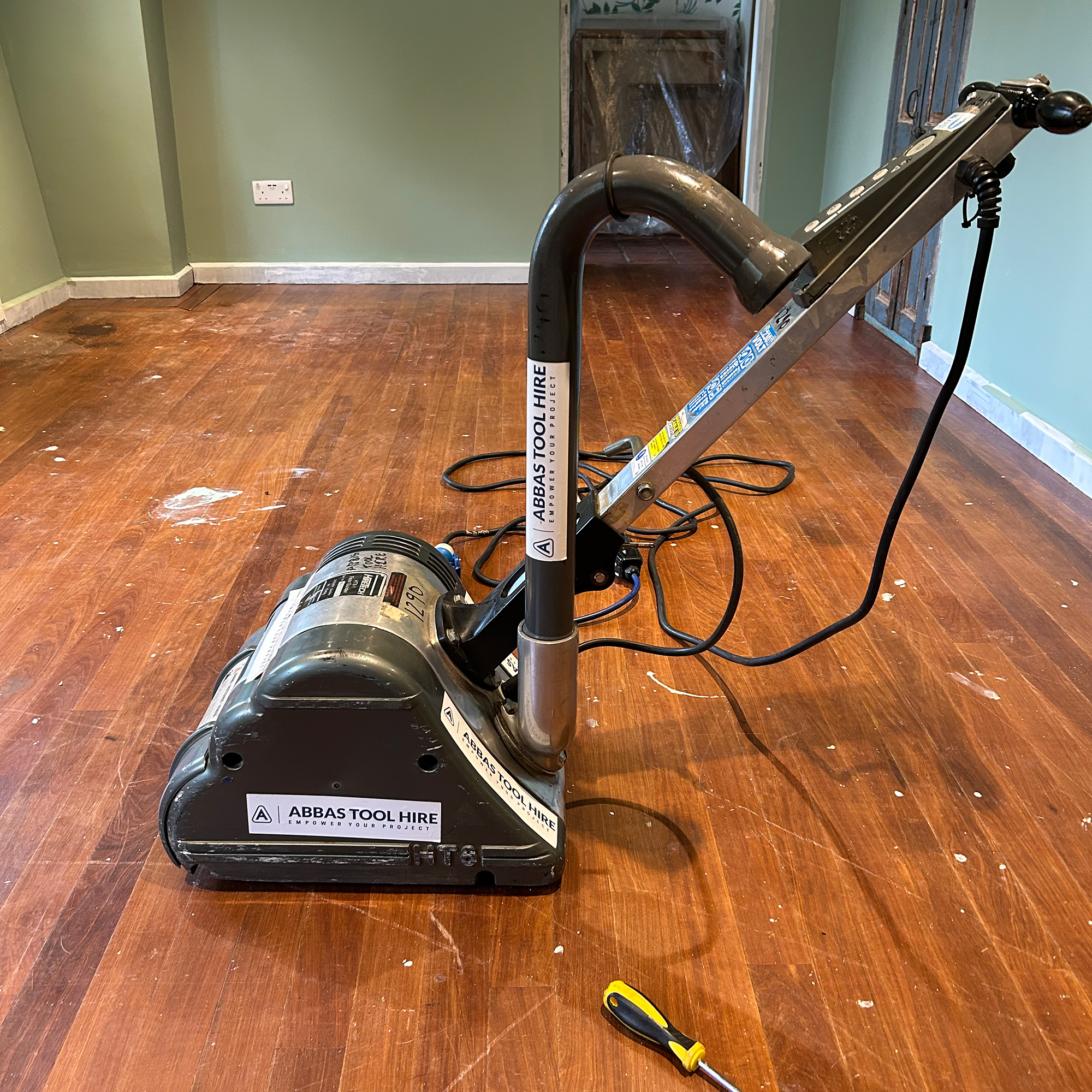 Sander on wooden floor in room with green walls