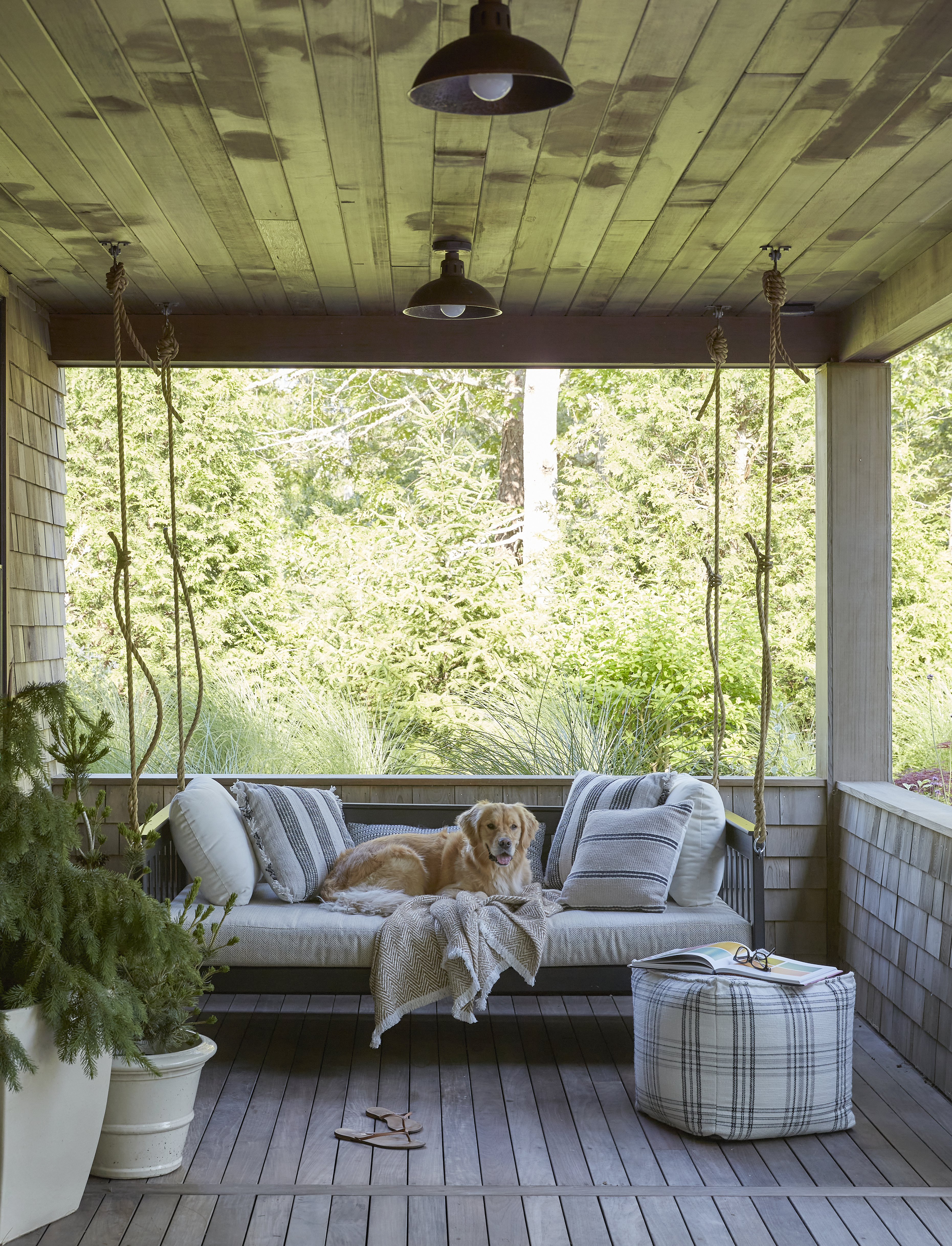 dog on a porch swing