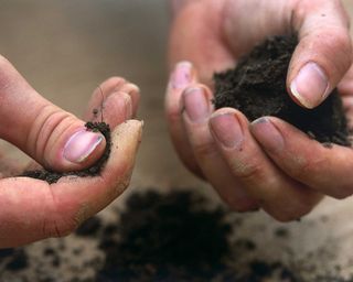 testing soil by hand