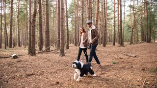 Young couple walking their dog in the forest