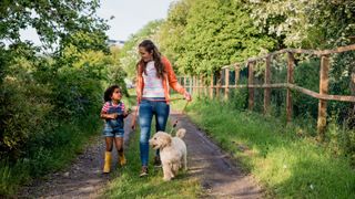 Dog being walked by woman and young child outside