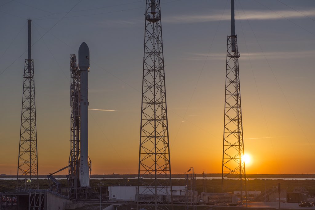 SpaceX&#039;s Falcon 9 Rocket on the Pad