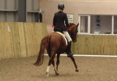 Chloe Vell competing Peanut