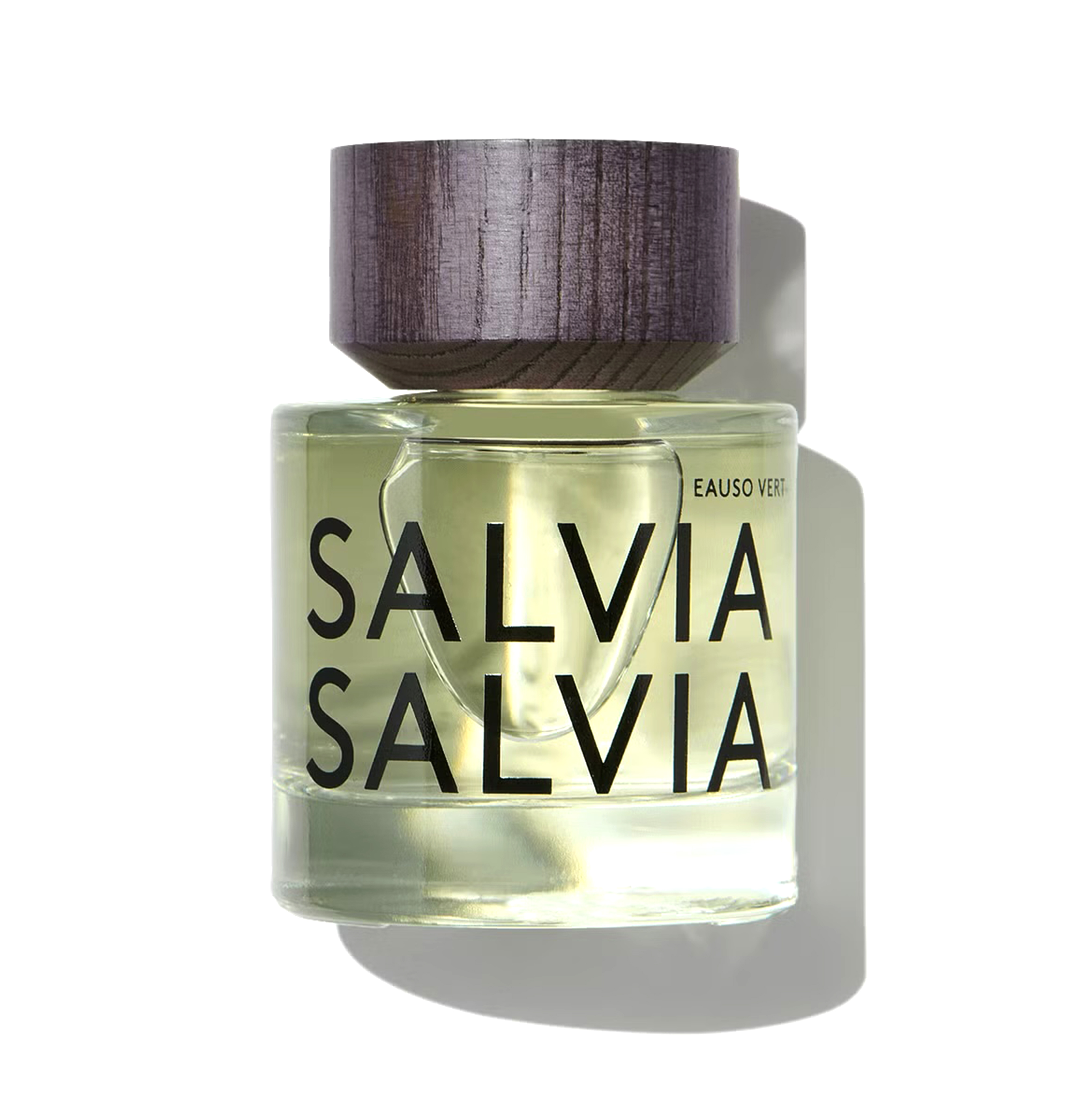SALVIA