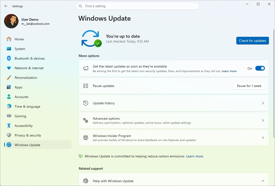 Windows Update settings