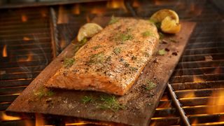 how to cook on a campfire: salmon