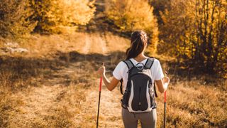a photo of a woman walking with a backpack and walking poles