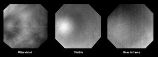 Three Images of a Venus Glory