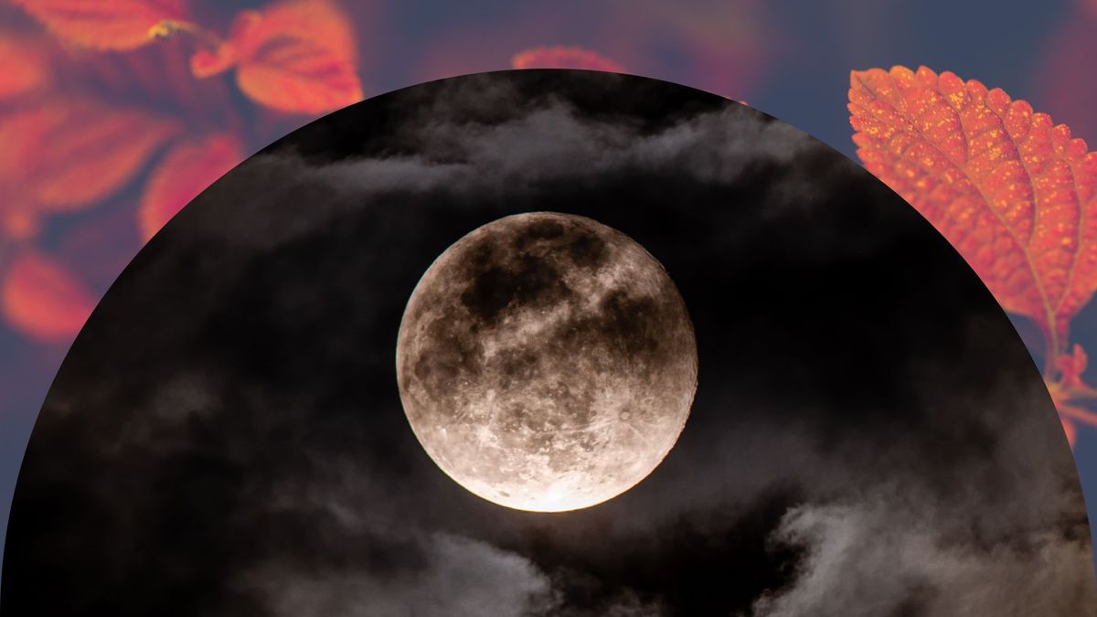 The 'significant' October 2022 full moon will affect these signs the most