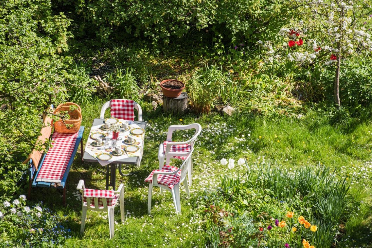 Picnic Set Up In A Garden