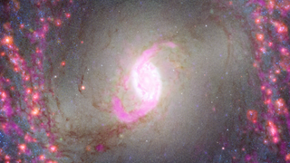 This image of spiral galaxy NGC 3351 combines data from observatories including Atacama Large Millimeter/submillimeter Array (ALMA), the Very Large Telescope and the Hubble Space Telescope. The James Webb Space Telescope is due to study the galaxy within its first year of science observations.