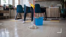 picture of woman mopping floor in home