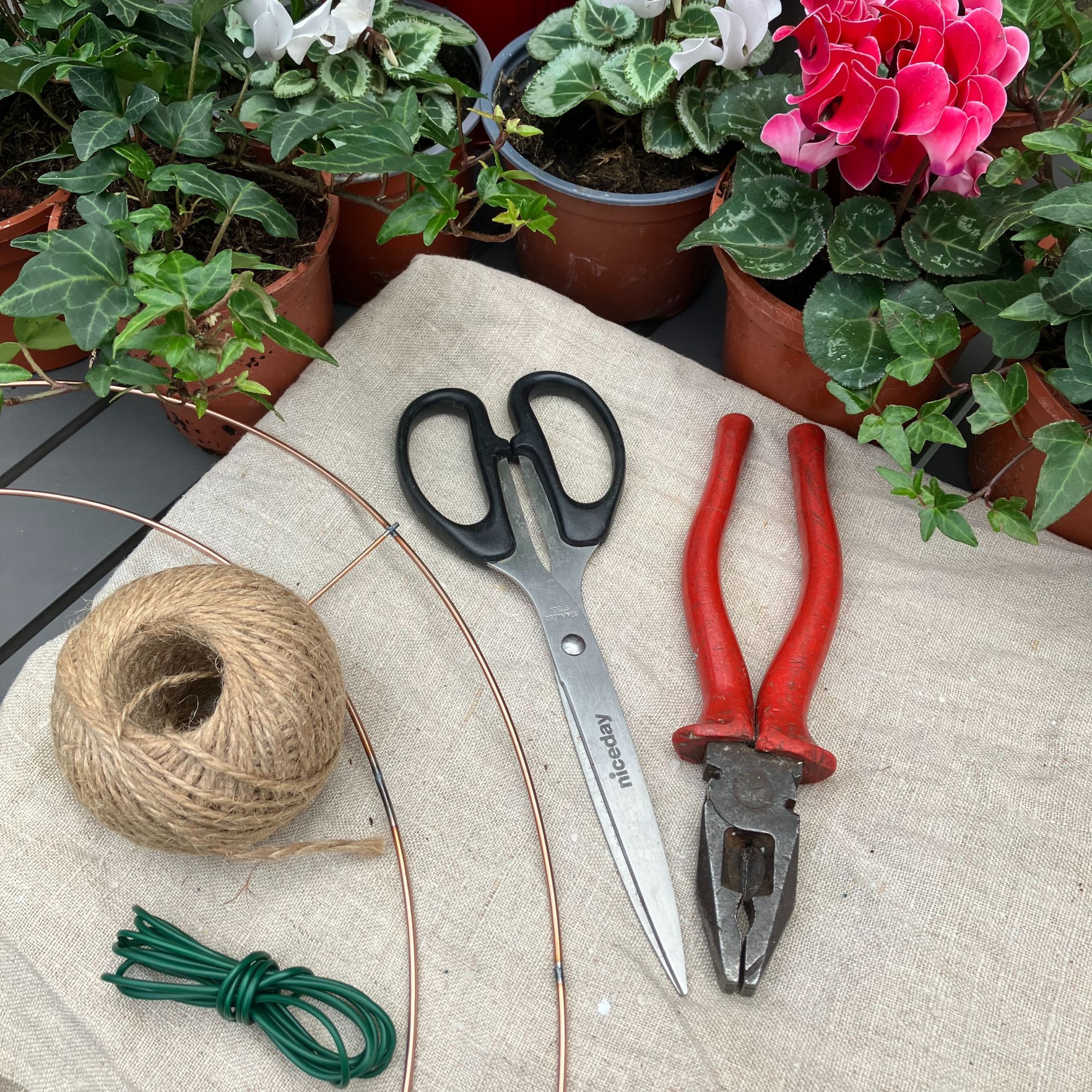 Christmas cyclamen and ivy wreath