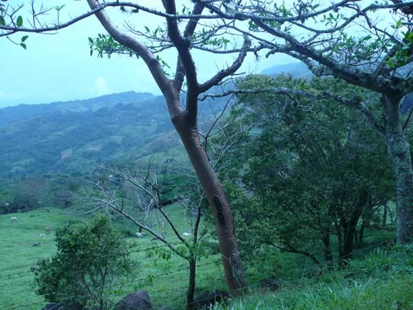 A view from the long climb to checkpoint #4.