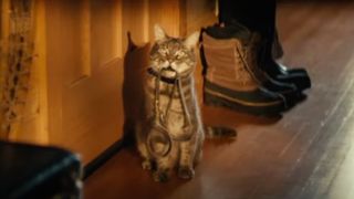 Image from new Walter the cat commercial