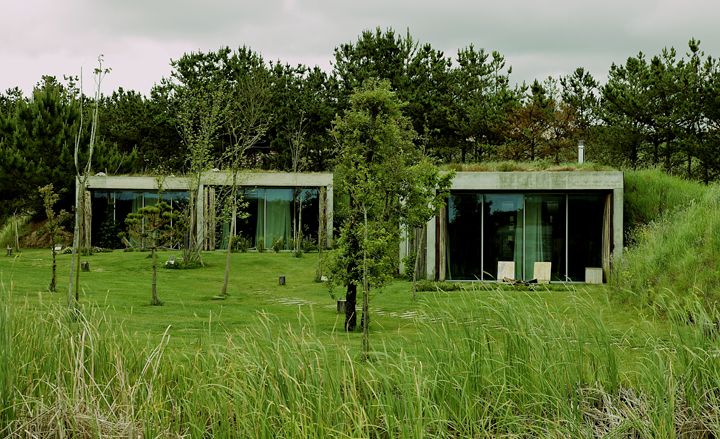 Front view of the eco-resort Rio de Prado, surrounded by grass and trees. In the distance, we see two suites that are separate buildings with floor-to-ceiling windows.