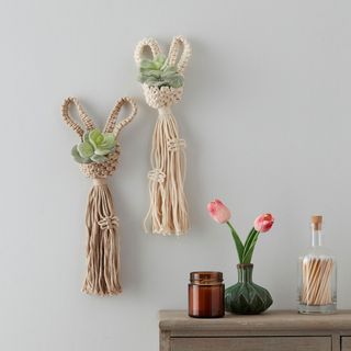 easter decorating idea macramé succulents hobby craft