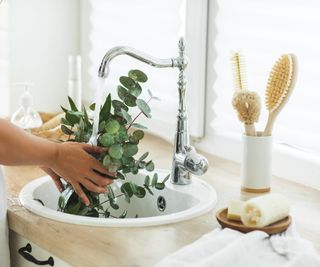 woman washing eucalyptus in bathroom