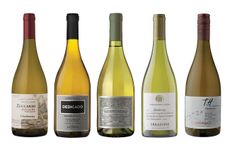 best south american Chardonnay