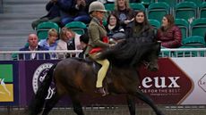 Dartmoor-AH1_3501-copy-scaled-2.jpg