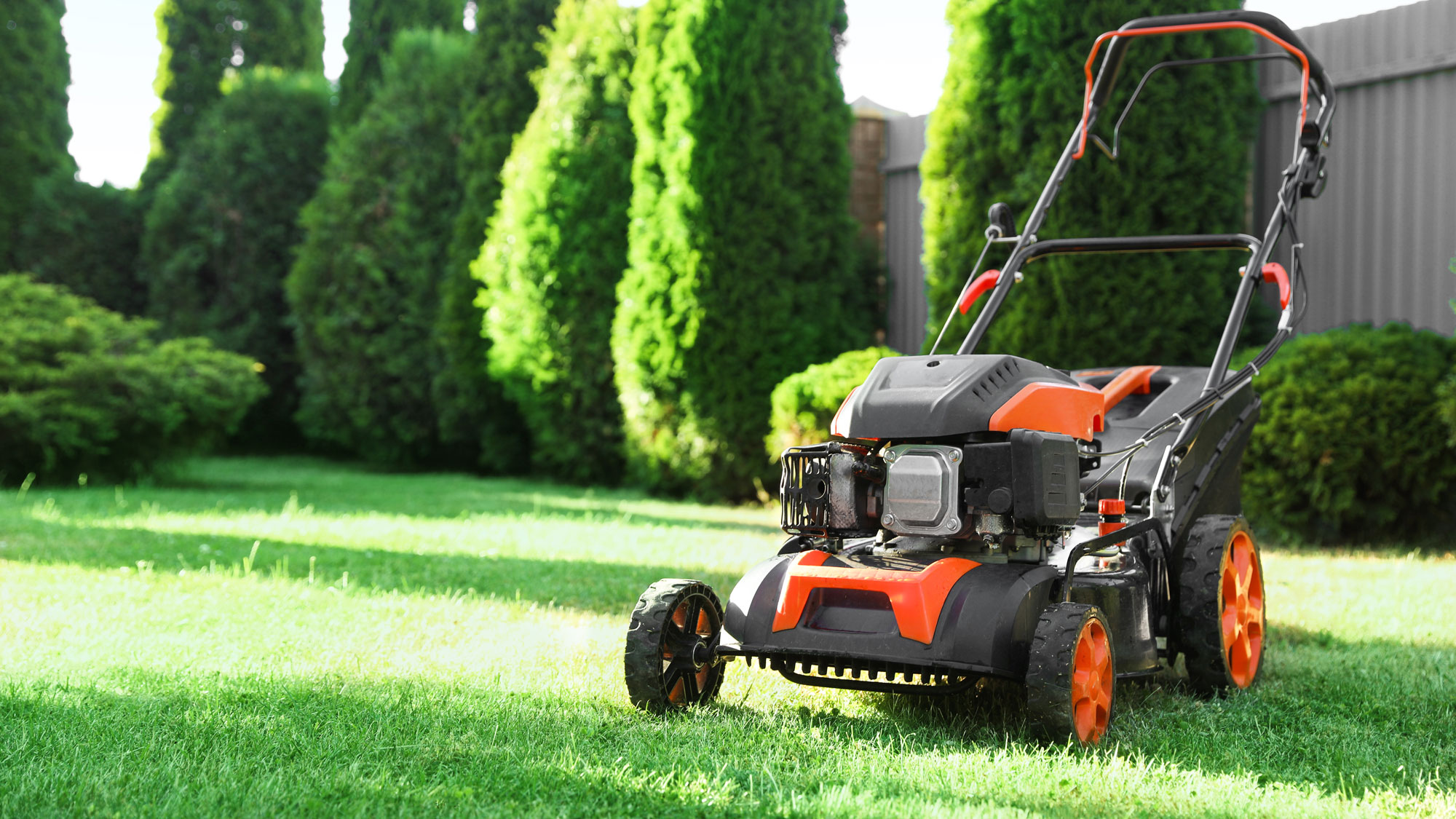 red lawn mower on grass in front of tall trees