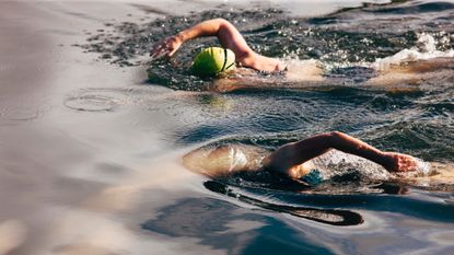 open water swimming technique