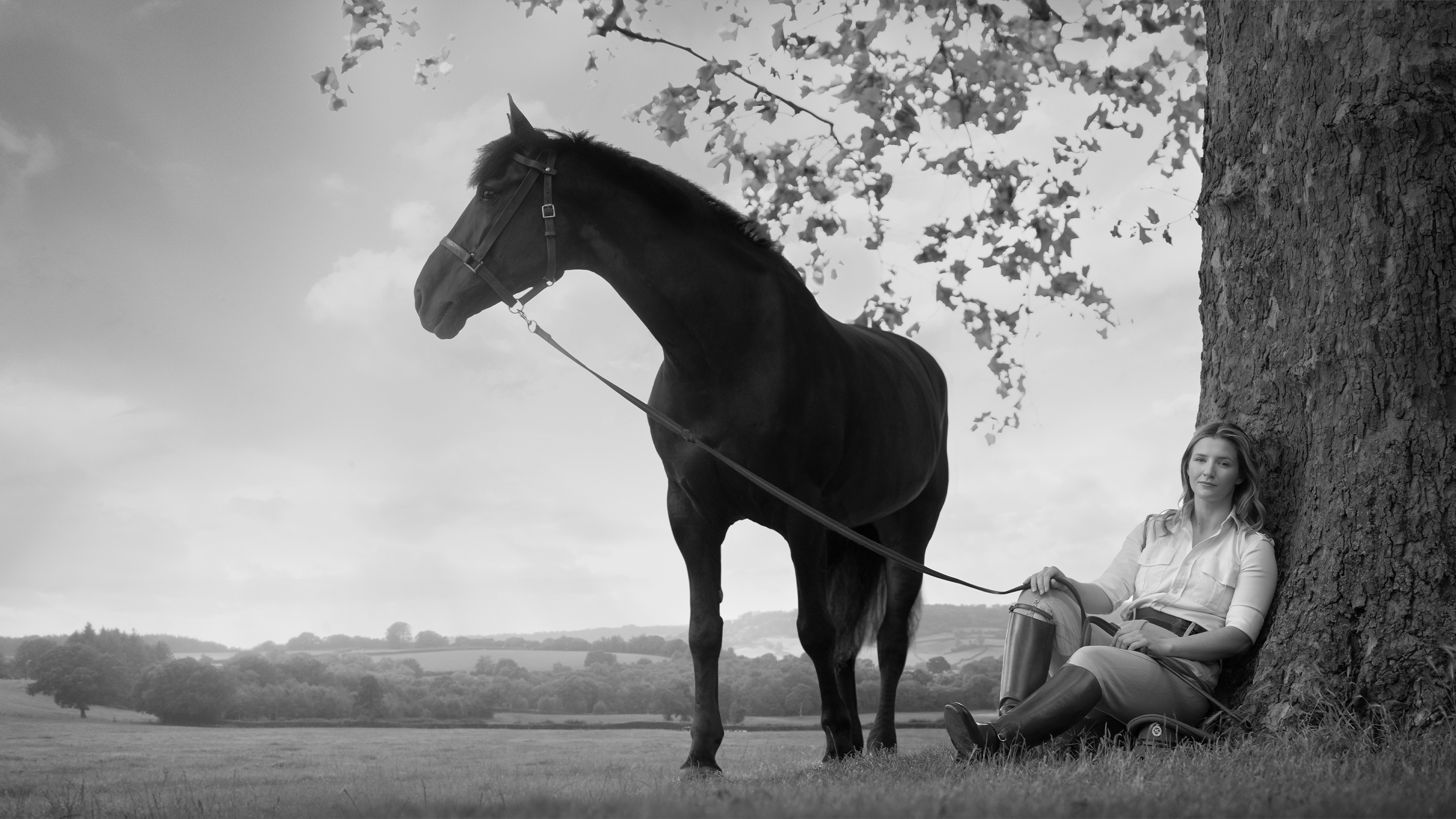 A cavalry soldier and their horse.