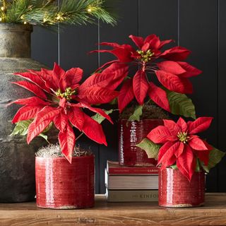 Faux Red Potted Poinsettias against a fireplace.