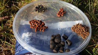 How to use pellets to catch carp