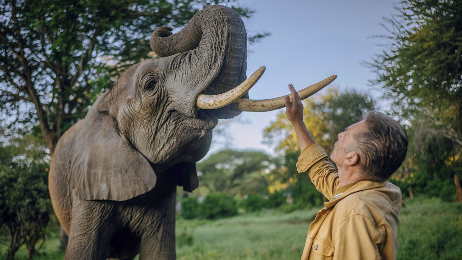 Chris Packham interacting with an elephant in Evolution