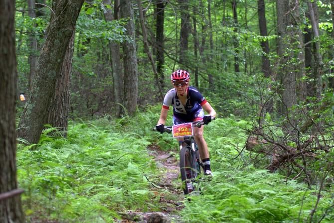 Kathleen Harding amid a sea of ferns on Croyle Run Trail