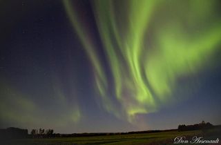 Shimmering Auroras Over Northern Alberta