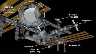 This NASA graphic shows the location of the inflatable Bigelow Expandable Activity Module on the International Space Station. The module will be tested for its effectiveness as a space habitat for two years.