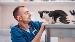 A vet examining a cat in the clinic on a table and smiling