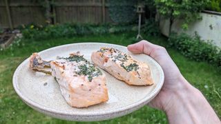 Herb-crusted salmon fillets on a plate.