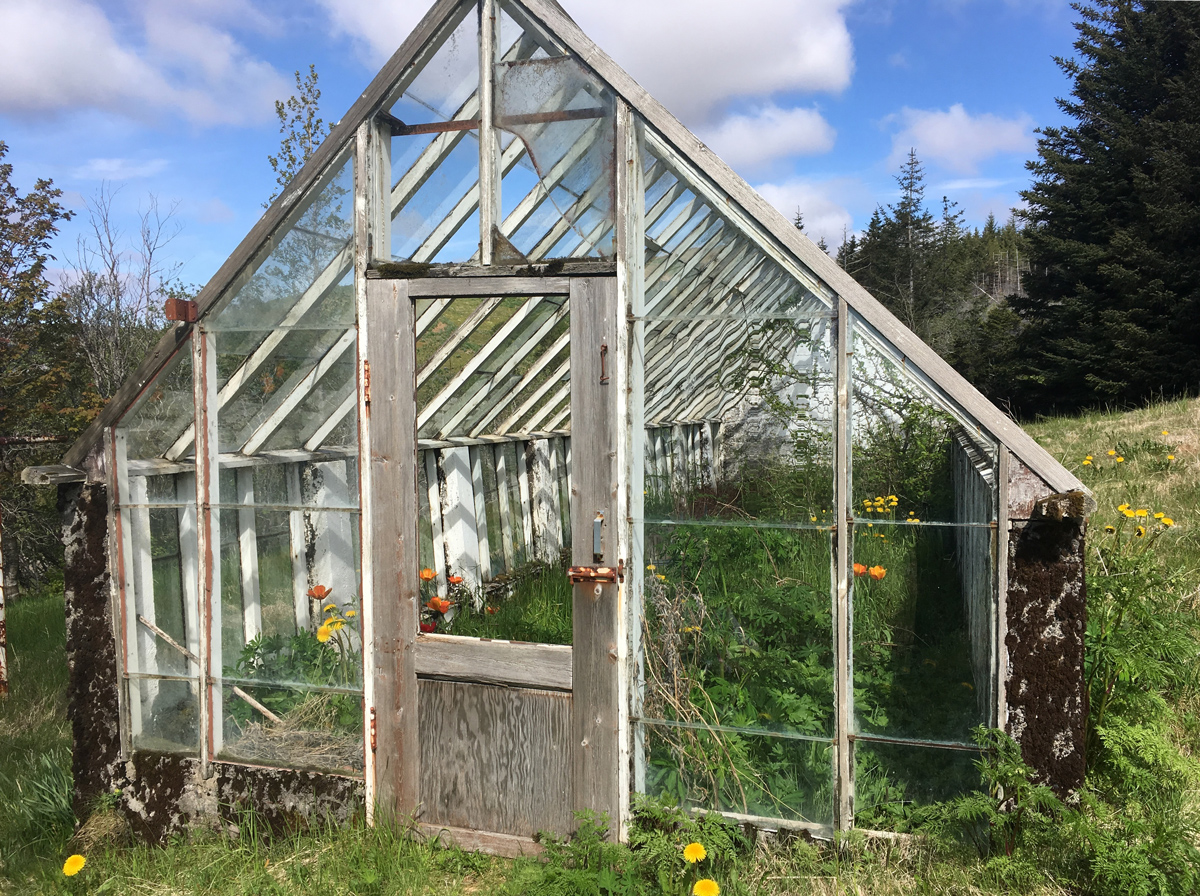A greenhouse.