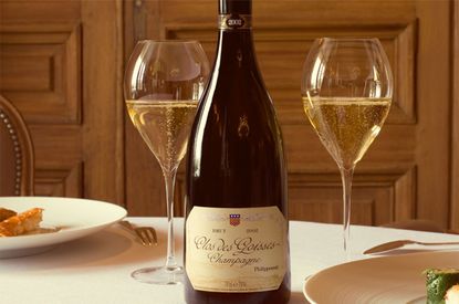 Clos des Goisses vertical