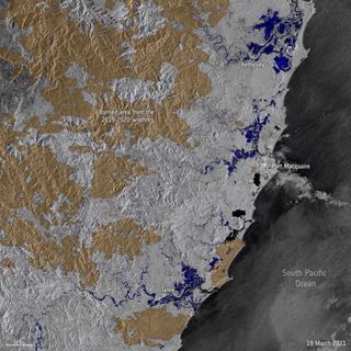 Satellites captured this image across New South Wales, Australia, where devastating, record-breaking floods have forced thousands to evacuate their homes. The image was captured by the Copernicus Sentinel-1 mission, which is helping to map flooded areas to support relief and rescue efforts. The image was created from two separate images captured by Sentinel-1 on March 7 and 19, and you can see the flooded areas in dark blue.