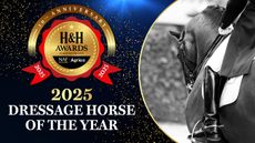 HH.0098_nom-assets_1400x788_8_Dressage-Horse-.jpg