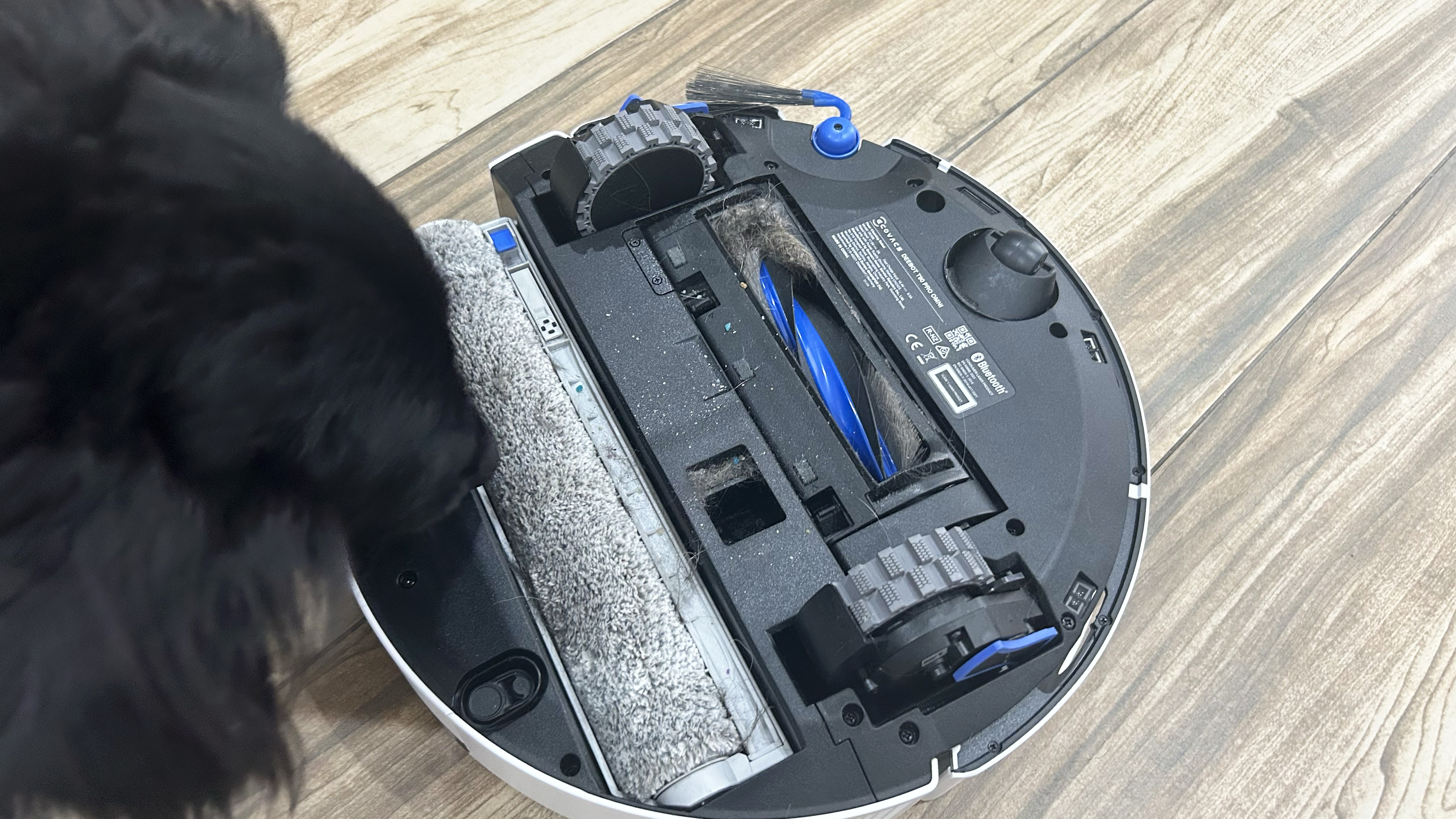 Ecovacs T90 Pro Omni reverse side with hair caught in roller with Dog sniffing