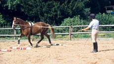 lunging over poles